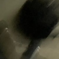 わがまま (@k4lbr) 's Twitter Profile