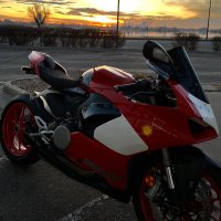 Guerin Green (@gueringreen) 's Twitter Profile