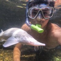 Cow Turtle (@cowturtle9427) 's Twitter Profile