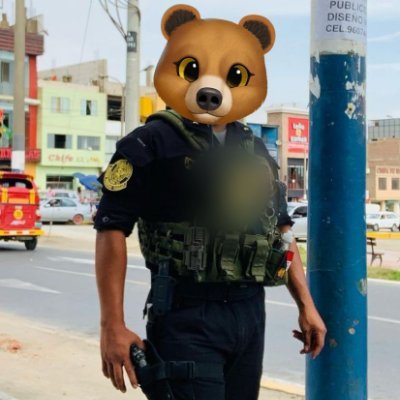 OSO PNP PARA LO QUE QUIERAS