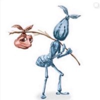 Amir Predovic (@apredovic59079) Twitter profile photo