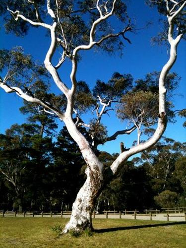 NancyReindl's profile picture. Proud wife, mother, grandma who loves Jesus Christ and life ... especially now that I'm retired!