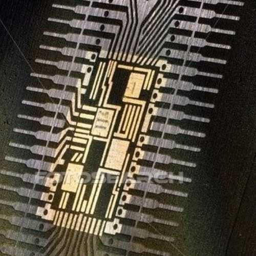 danamdash's profile picture. Break stuff until there is nothing left to Break