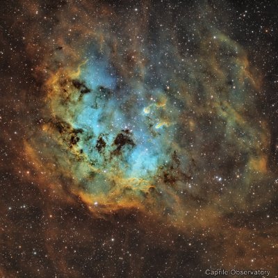 lee906126755778's profile picture. 我对活着一点兴趣也有没