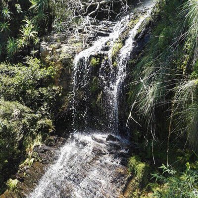 ArabiansRedin's profile picture. 