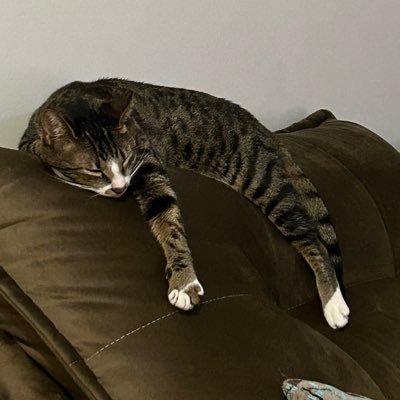 lumaleedepre's profile picture. 