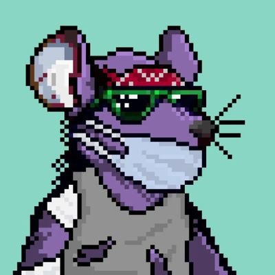 robinchen8818's profile picture. 