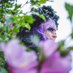 Lynette Messina (@sweetlifeofart) Twitter profile photo Lynette Messina (@sweetlifeofart) Twitter profile photo