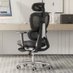 Ergonomic chairs (Angelan) (@KellyPQtomato) Twitter profile photo