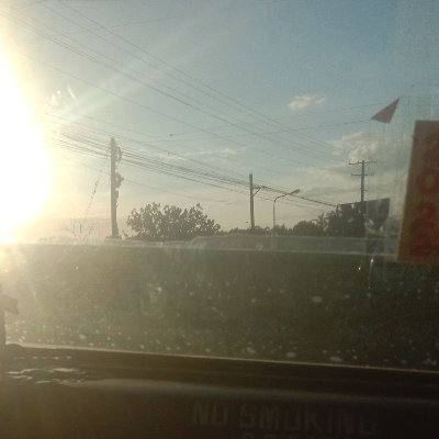 chokievald75763's profile picture. 