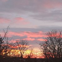 Susanne 🇺🇦🕊 (@susanneullmann1) 's Twitter Profile Photo