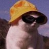 ironmanews's profile picture. 