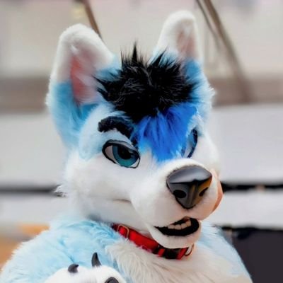 33yrHusky. MFY/TwinkyArts suiter, FursuitMaker, 3D Artist, Very Shy. 
Hugs welcomed!
Cuddle Tramp

❤️Taken❤️
💙7/1/20💜
MyLittleCurl @YumeWolfFang