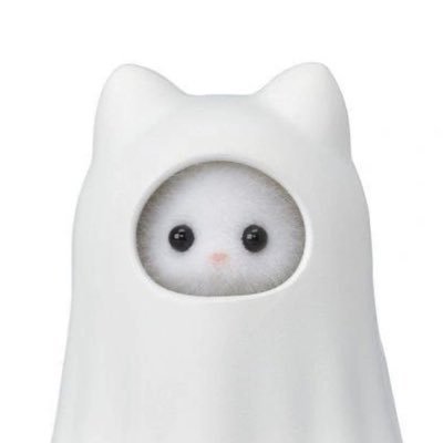 malang_mj8's profile picture. 