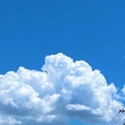 percy74806394's profile picture. ROM専