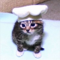 μΉ΄π· (@zkzkjustka) 's Twitter Profile Photo μΉ΄π· (@zkzkjustka) 's Twitter Profile Photo