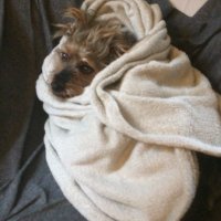 2lski (@2lski68) 's Twitter Profile