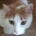 Athol Forbes πΊπ¦(Moved to BlueSky) (@strangelyhappy) Twitter profile photo Athol Forbes πΊπ¦(Moved to BlueSky) (@strangelyhappy) Twitter profile photo