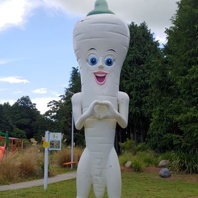 canaXD's profile picture. 読書が楽しい今日この頃😍📖