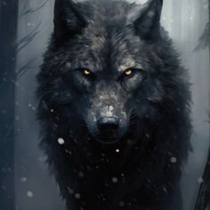 🐺 For those feeling isolated, lost or abandoned, the lone wolf is a space to help you practice inner work and reconnect with your True Nature.