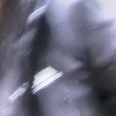 bw824b's profile picture. @Meeiro_xyz Soldier