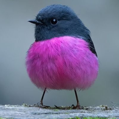 btnalv's profile picture. 