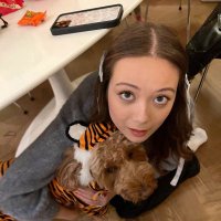 lauver (@laufeyistherapy) Twitter profile photo