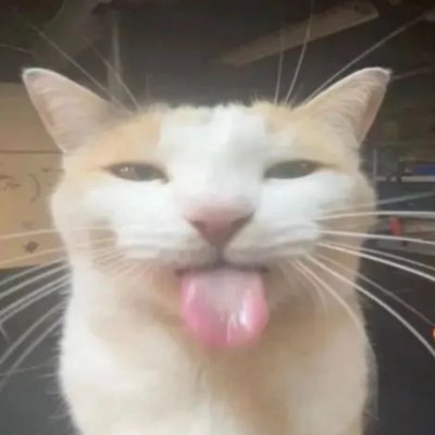KumarueiDubbys's profile picture. pot