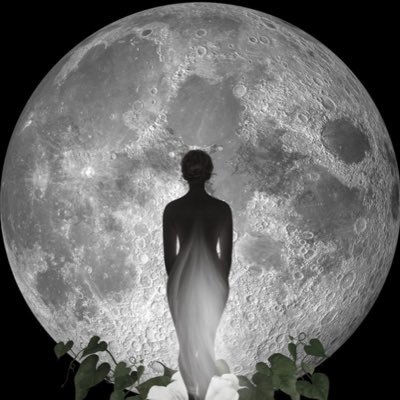 Petal648's profile picture. 