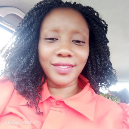 ChilekeSifon's profile picture. Content Creator| Data Collector/ Entry Analyst  | Prompt Engineer | Python | ML/AI (ChatBot Builder)