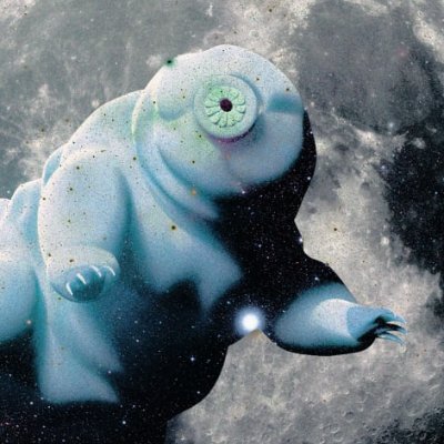 glitzchz's profile picture. on the way to bed 💤 Building with @DataHaven_xyz