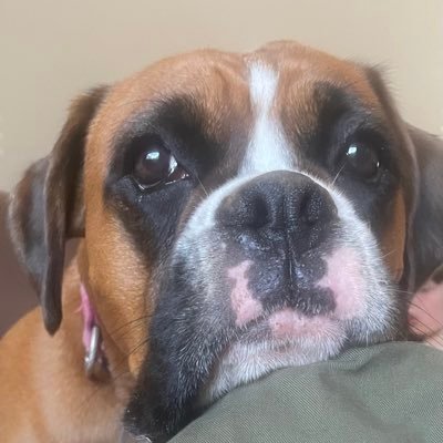 nuatriona's profile picture. 