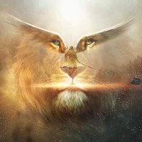 Stella Wunsch (@wunschstel80124) 's Twitter Profile