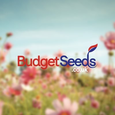 Priceless quality seed, sold at budget prices