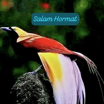 MOhoibor10052's profile picture. 