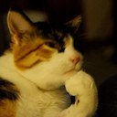 Debbie Chartier - @debbiechartier - Twitter