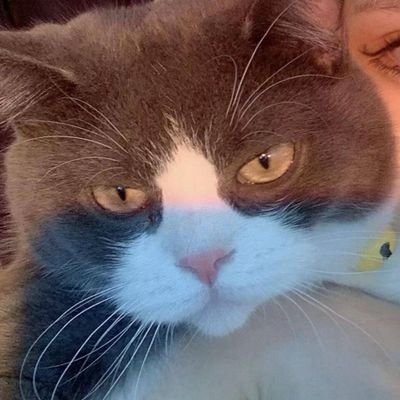 fengliu7093's profile picture. 