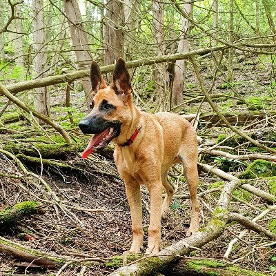 TraceyT56288654's profile picture. 