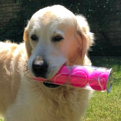 FinnFifth Profile Picture