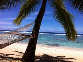 rogerbray's profile picture. 