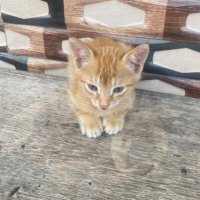 Sad Quotes (@soooside) 's Twitter Profile