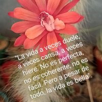 Patricia Lopez (@patriciarte) 's Twitter Profile