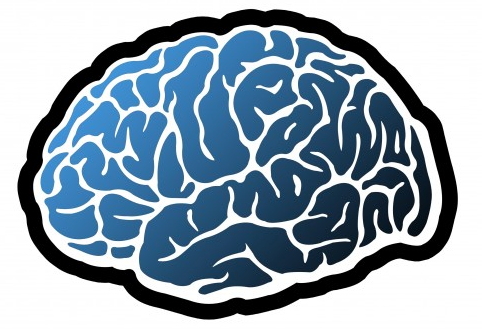 CognitiveSciSoc's profile picture. The Westminster Cognitive Science Society brings together many people from different fields who all share a passion for Cognitive Sciences.