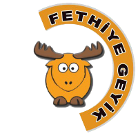 Fethiye Geyik (@fethiye_geyik) Twitter profile photo