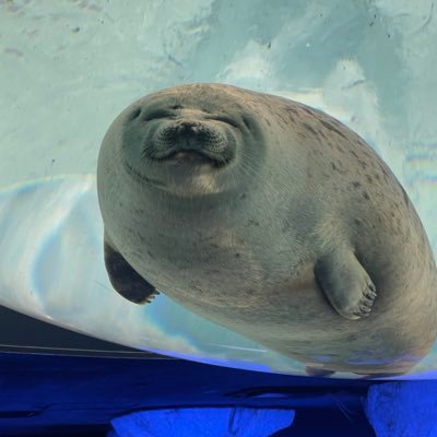 Cg5yrwTOK280498's profile picture. 亀戸の住人 情報収集垢