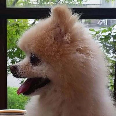 2018年12月脳腫瘍発覚(乏突起神経膠腫G2)→2019年1月覚醒下手術済、軽度失語症&右上肢麻痺。
機械設計と技術者派遣の会社を経営してます。
パチンコ、パチスロ、阪神タイガース、ミスチル、バクナン、WANDS好きです。
30プリウス、プリウスα所有。
しばらくは育児垢になります。