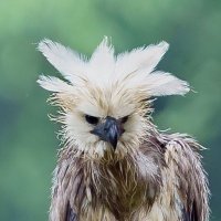 @Retorno.PhotoTours (@davidcasas11) 's Twitter Profile