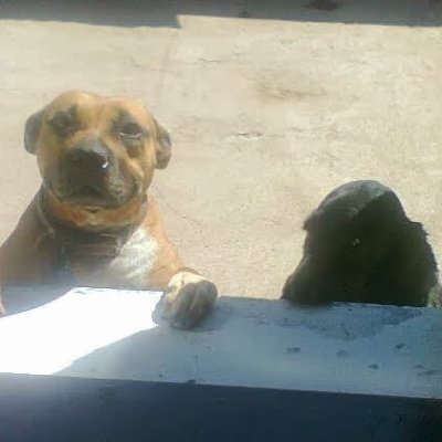 Celes241's profile picture. El verdadero viaje de descubrimiento no consiste en buscar nuevos paisajes, sino en mirar con nuevos ojos.