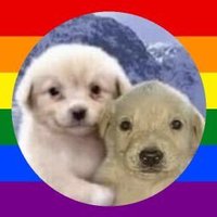 Dudley Koelpin (@koelpin8836) Twitter profile photo