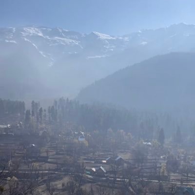 ibnyq's profile picture. 